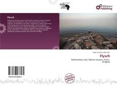 Portada del libro de Flysch