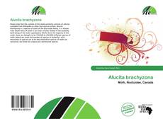 Alucita brachyzona的封面