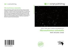 Borítókép a  Microschismus columella - hoz