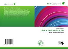 Buchcover von Batrachedra microbias