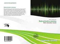 Portada del libro de Batrachedra oemias