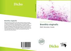 Buchcover von Brenthia virginalis