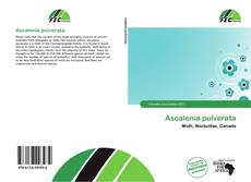 Ascalenia pulverata kitap kapağı