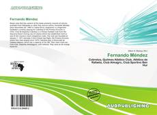 Portada del libro de Fernando Méndez