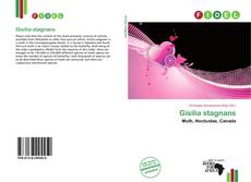 Borítókép a  Gisilia stagnans - hoz
