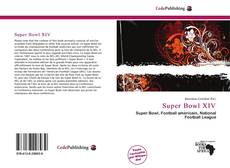 Super Bowl XIV kitap kapağı