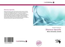 Diurnea lipsiella kitap kapağı