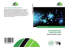 Ischnophanes baldizzonella的封面