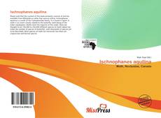 Bookcover of Ischnophanes aquilina