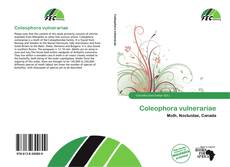Coleophora vulnerariae kitap kapağı