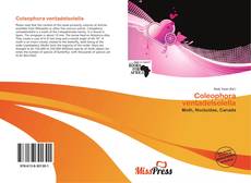Bookcover of Coleophora ventadelsolella
