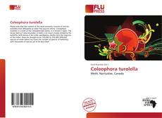 Copertina di Coleophora turolella