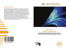 Capa do livro de Atilio Cremaschi 