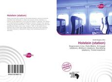 Buchcover von Holstein (station)