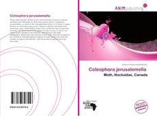 Couverture de Coleophora jerusalemella 