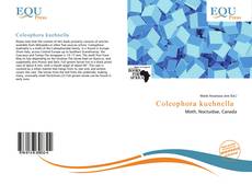 Copertina di Coleophora kuehnella 