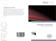 Copertina di Coleophora luteochrella