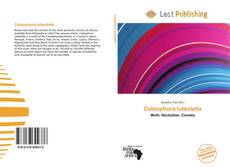 Borítókép a  Coleophora luteolella - hoz