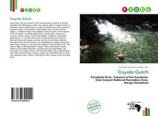 Coyote Gulch kitap kapağı