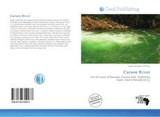 Couverture de Carson River