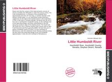 Buchcover von Little Humboldt River