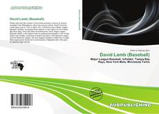 Portada del libro de David Lamb (Baseball)