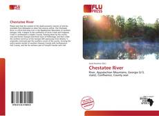 Copertina di Chestatee River