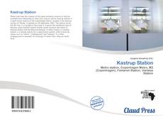 Buchcover von Kastrup Station