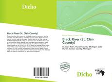 Buchcover von Black River (St. Clair County)