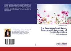 The Geophysical and Hydro-Geochemical Assessment of Lokoja Formation kitap kapağı