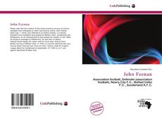 John Feenan kitap kapağı