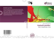 Exelastis pavidus 的封面