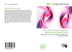 Black River (New York) kitap kapağı
