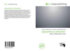 Borítókép a  Gypsochares catharotes  - hoz