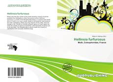 Portada del libro de Hellinsia furfurosus 