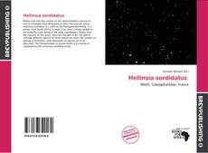 Buchcover von Hellinsia sordidatus 