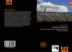 Copertina di Andy Sandham