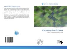 Couverture de Chamanthedon chalypsa