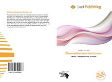 Couverture de Chamanthedon hilariformis 