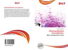 Chamanthedon leucopleura  kitap kapağı