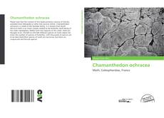 Chamanthedon ochracea  kitap kapağı