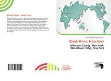 Capa do livro de Black River, New York 