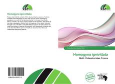 Homogyna ignivittata kitap kapağı