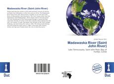 Madawaska River (Saint John River)的封面