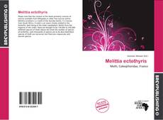 Buchcover von Melittia ectothyris 