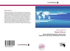 Bookcover of Back River