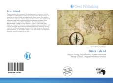 Buchcover von Brier Island