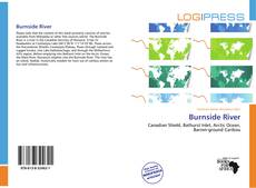 Bookcover of Burnside River