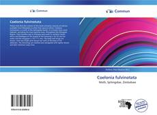 Coelonia fulvinotata  kitap kapağı