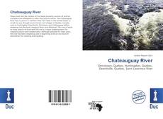 Bookcover of Chateauguay River